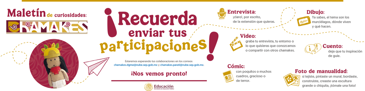 Banner de participación