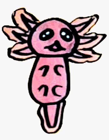 Ajolote en trajinera