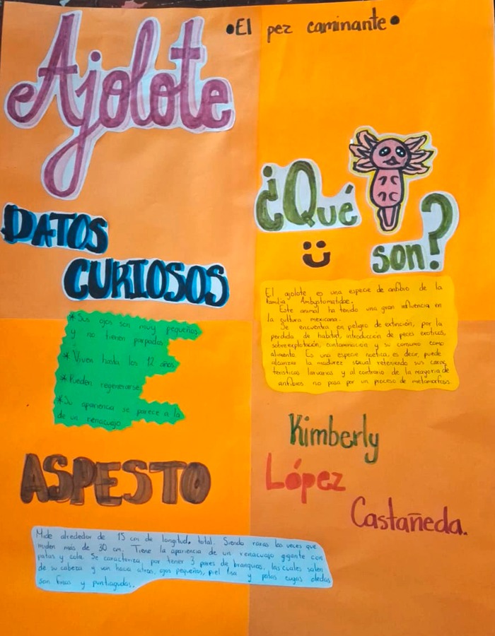 Ajolote en trajinera