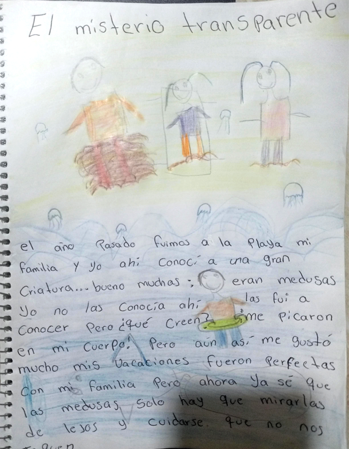 carta-carina