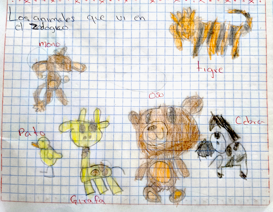 zoo