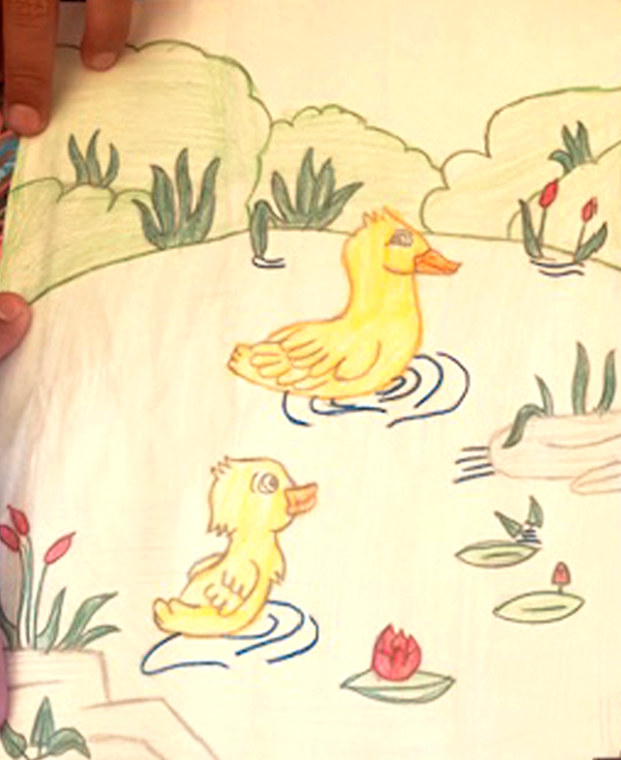 patitos