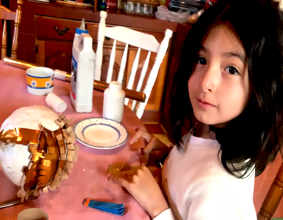 proceso de elaboracion