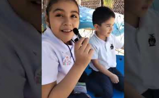 Experiencia luminosa