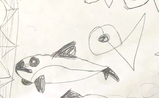 Vaquita