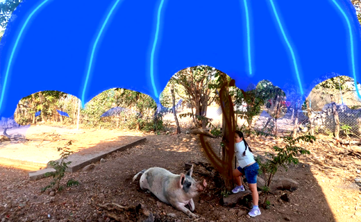 Vacaciones de imaginación