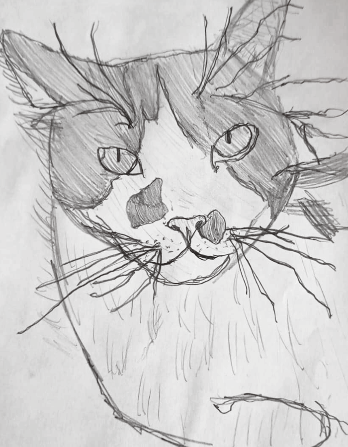 Boceto gatito
