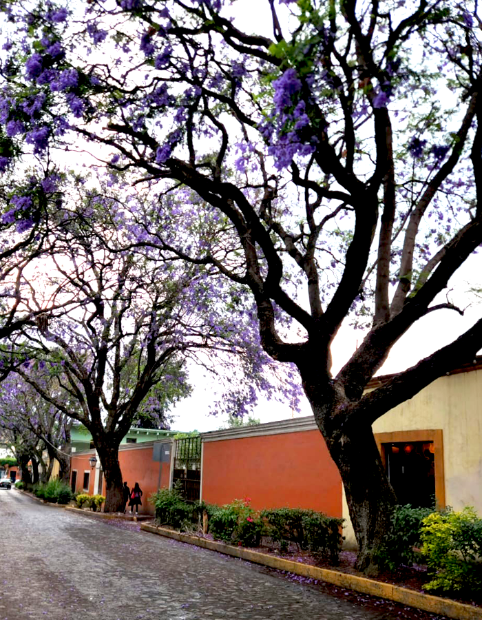 Rincones de mi País