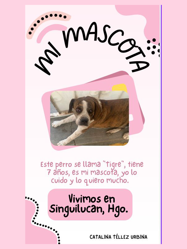 mascota