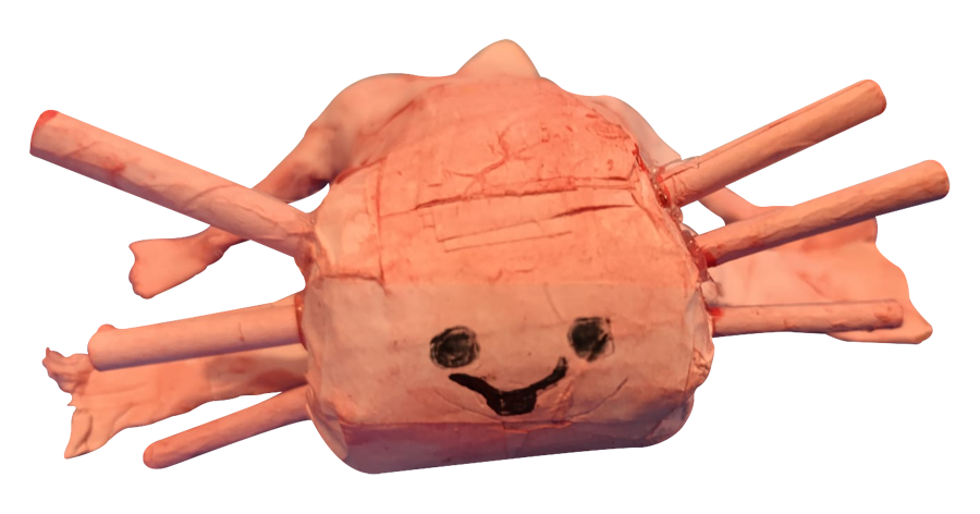 ajolete_expresion_1