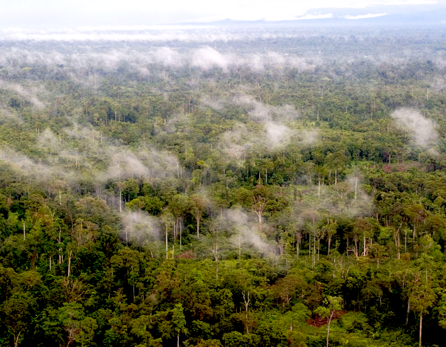 Papua