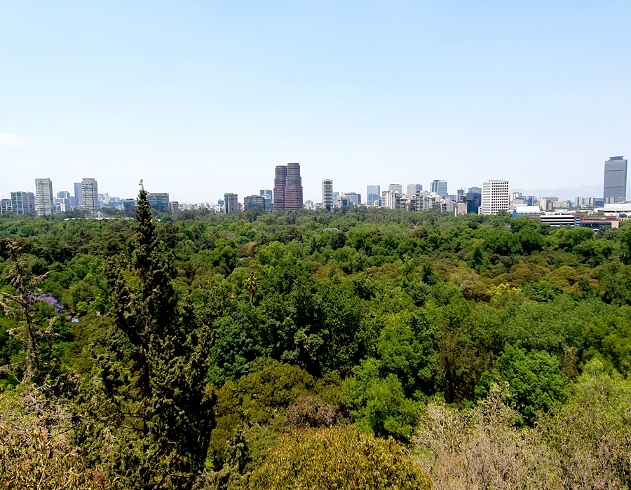 Bosque Chapultepec