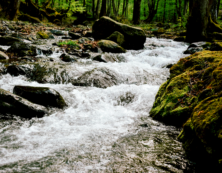 Riachuelo