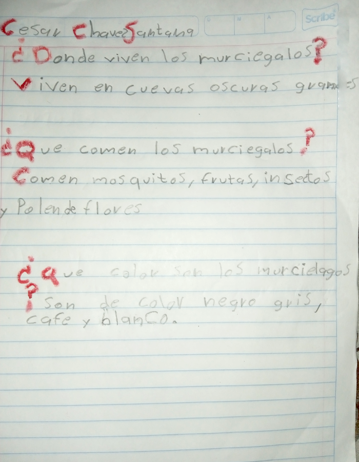 dedo abeja