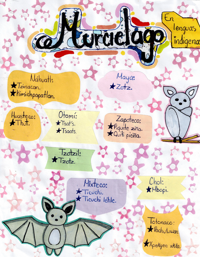 Infografia_kima