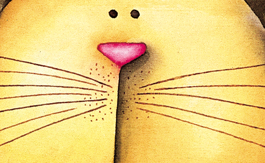 trepa gato