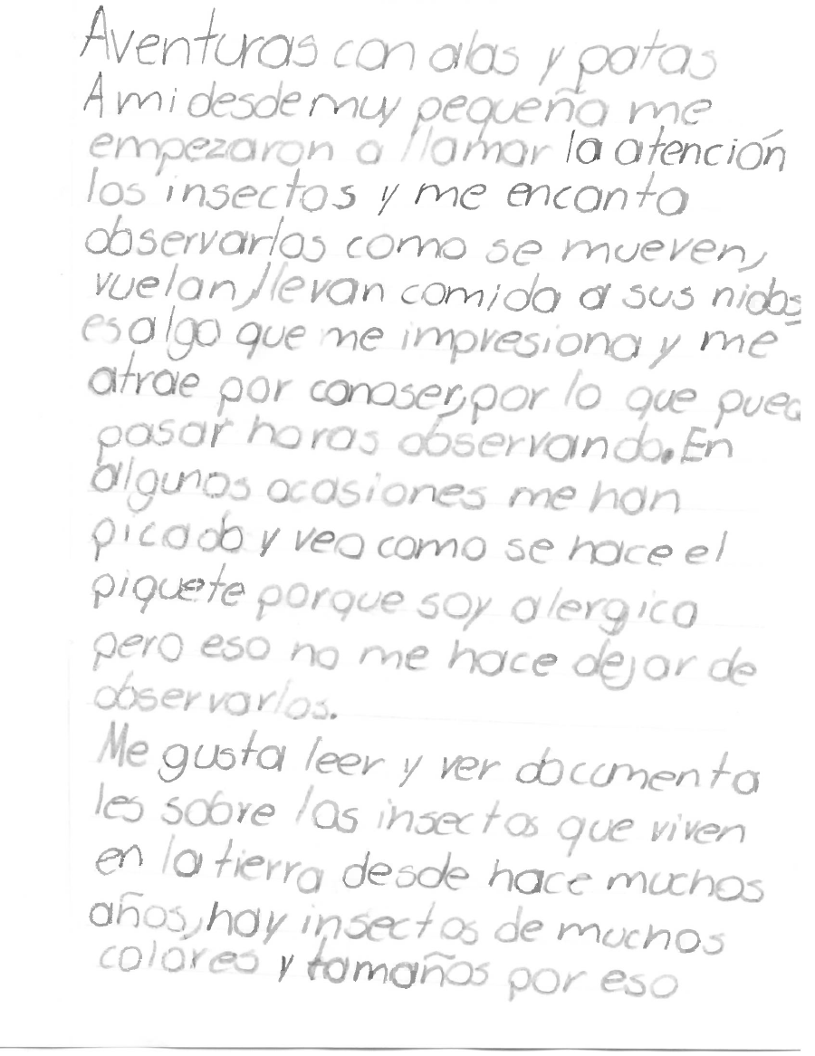 Ilustración PVG 1