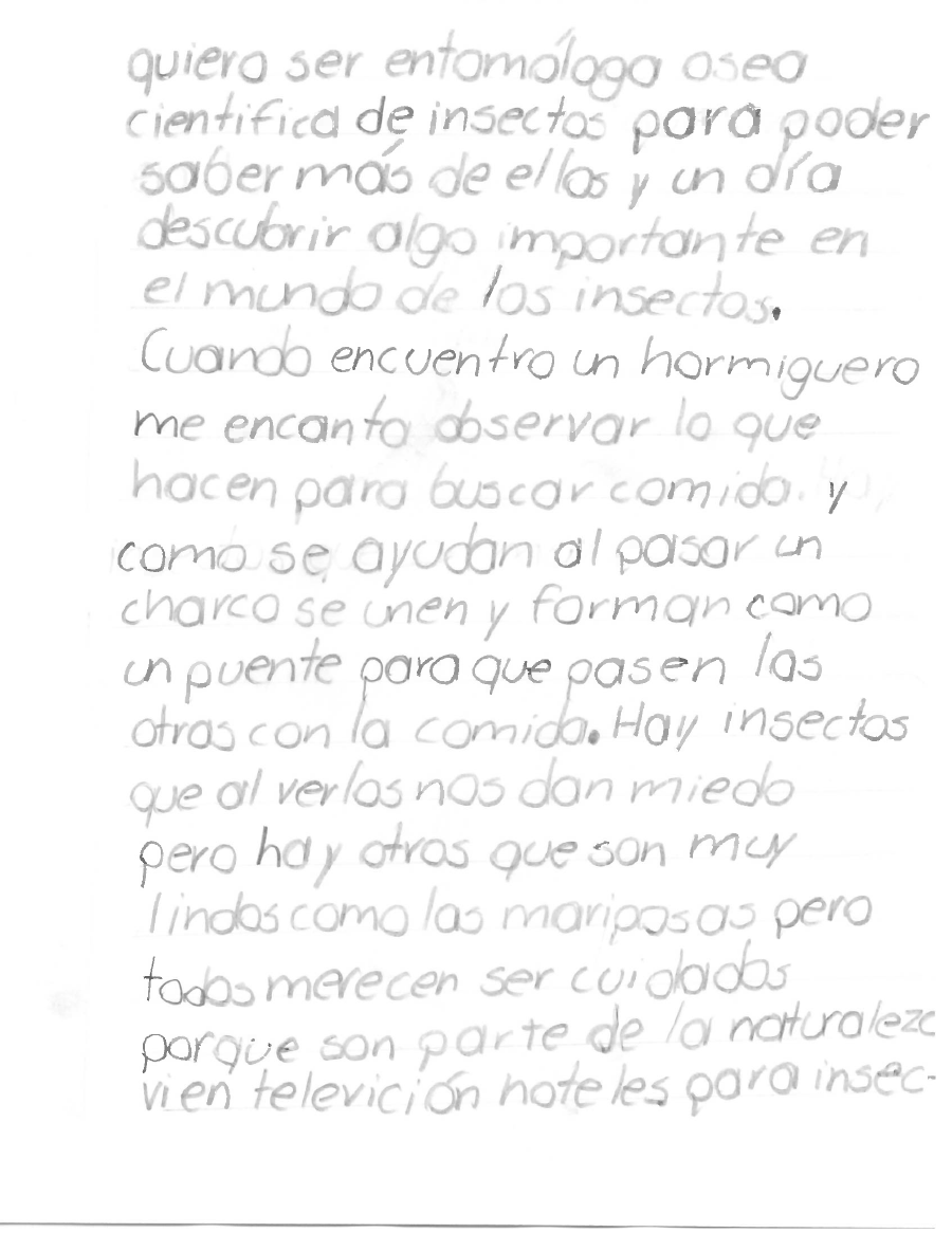 Ilustración PVG 2