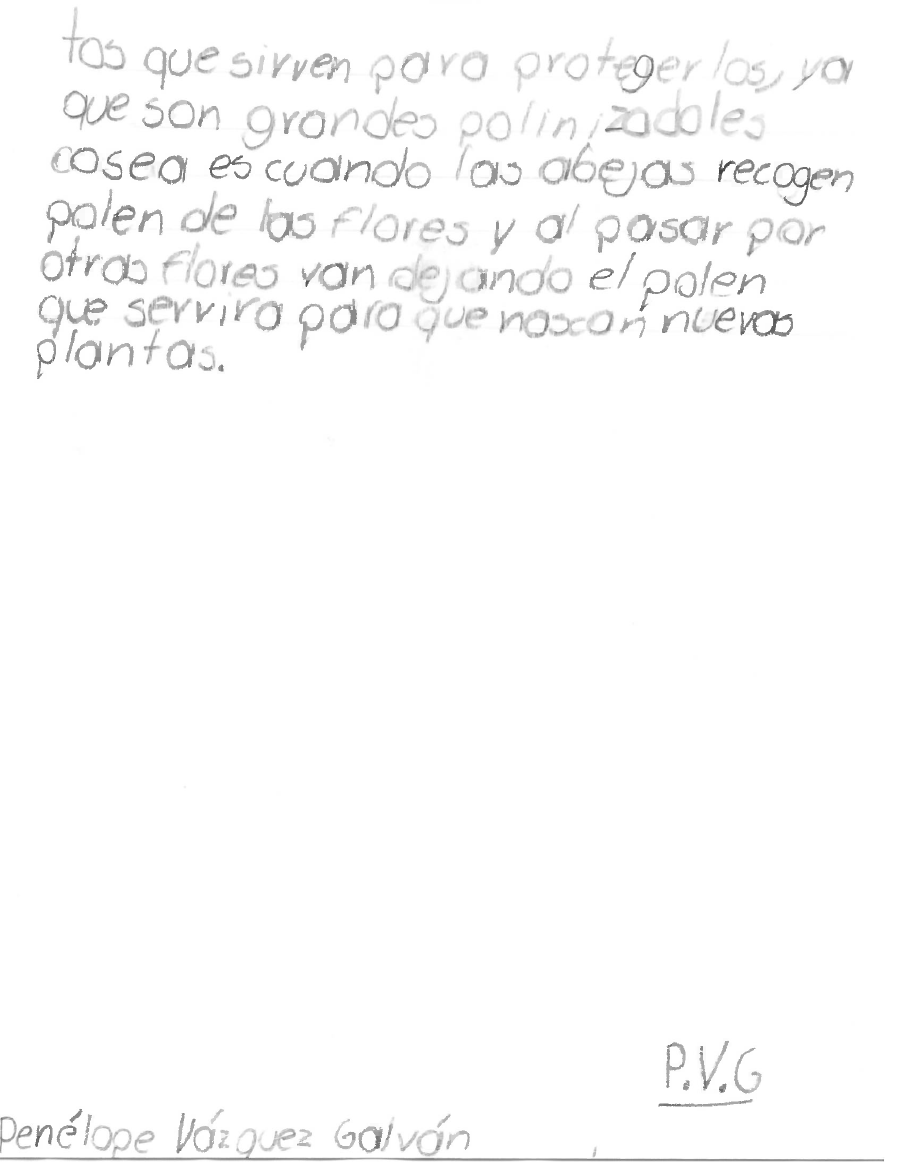 Ilustración PVG 3