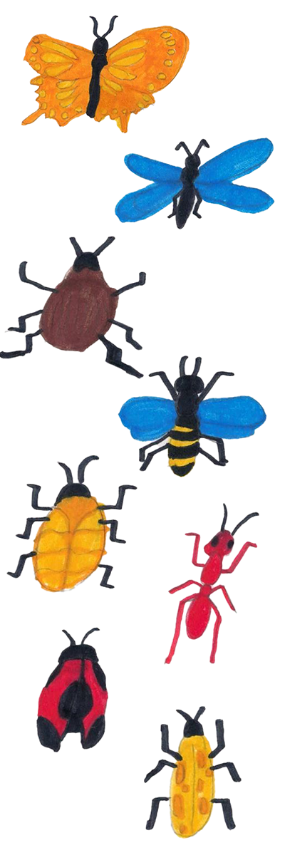 Insecto ilustrado 1