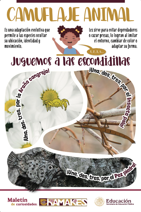 Ilustración camuflaje animal